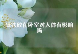 磁鐵放在臥室對(duì)人體有影響嗎