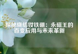 探秘燒結釹鐵硼：永磁王的百變應用與未來革新