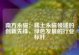 南方永磁：稀土永磁領(lǐng)域的創(chuàng)新先鋒，綠色發(fā)展的行業(yè)標(biāo)桿