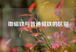 銣磁鐵與普通磁鐵的區(qū)別