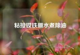 粘接釹鐵硼水煮除油