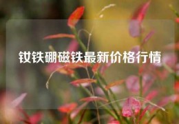 釹鐵硼磁鐵最新價(jià)格行情