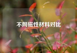 不同磁性材料對比