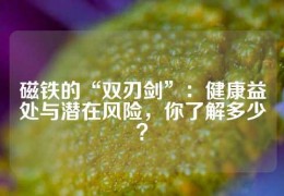 磁鐵的“雙刃劍”：健康益處與潛在風(fēng)險(xiǎn)，你了解多少？