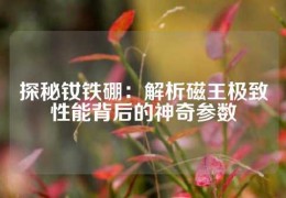 探秘釹鐵硼：解析磁王極致性能背后的神奇參數(shù)