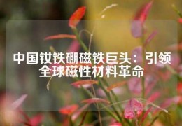 中國釹鐵硼磁鐵巨頭：引領全球磁性材料革命