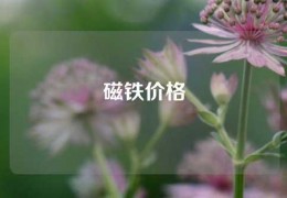 磁鐵價格