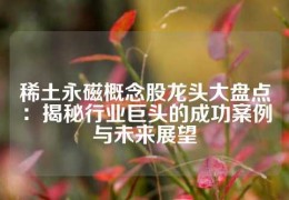 稀土永磁概念股龍頭大盤點：揭秘行業巨頭的成功案例與未來展望