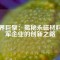 磁界巨擘：揭秘永磁材料領軍企業的創新之路