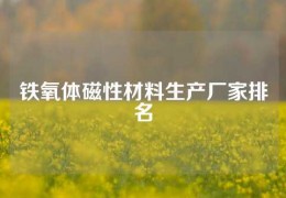 鐵氧體磁性材料生產(chǎn)廠家排名