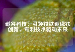 磁谷科技：引領釹鐵硼磁鐵創新，專利技術驅動未來