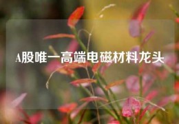 A股唯一高端電磁材料龍頭