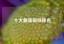 十大最強磁鐵排名