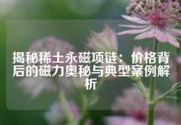 揭秘稀土永磁項鏈：價格背后的磁力奧秘與典型案例解析