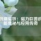 釹鐵硼磁鐵：磁力巨獸的性能奧秘與應(yīng)用傳奇