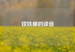 釹鐵硼的讀音