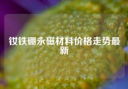 釹鐵硼永磁材料價格走勢最新