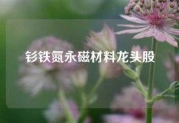 釤鐵氮永磁材料龍頭股