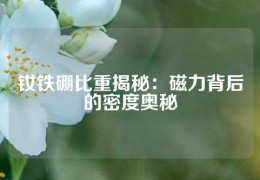 釹鐵硼比重揭秘：磁力背后的密度奧秘