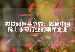 釹鐵硼巨頭爭霸：揭秘中國稀土永磁行業的領軍企業