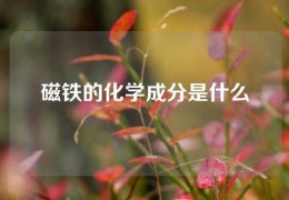 磁鐵的化學成分是什么