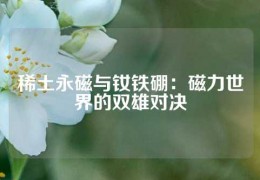 稀土永磁與釹鐵硼：磁力世界的雙雄對決