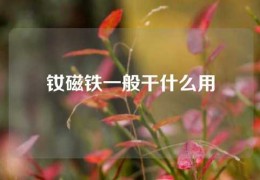 釹磁鐵一般干什么用