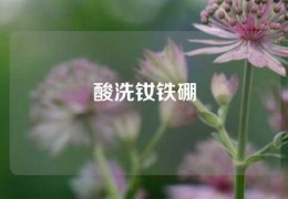 酸洗釹鐵硼