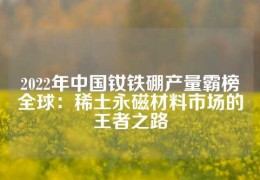 2022年中國釹鐵硼產(chǎn)量霸榜全球：稀土永磁材料市場(chǎng)的王者之路