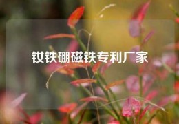 釹鐵硼磁鐵專利廠家