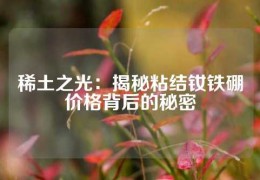 稀土之光：揭秘粘結釹鐵硼價格背后的秘密