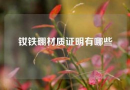 釹鐵硼材質證明有哪些