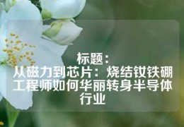 標題：
從磁力到芯片：燒結(jié)釹鐵硼工程師如何華麗轉(zhuǎn)身半導(dǎo)體行業(yè)