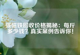 強磁鐵回收價格揭秘：每斤多少錢？真實案例告訴你！