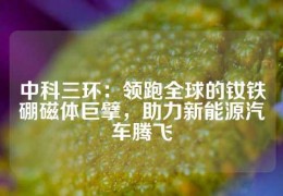 中科三環(huán)：領跑全球的釹鐵硼磁體巨擘，助力新能源汽車騰飛