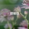 釹磁鐵