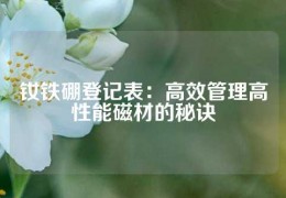 釹鐵硼登記表：高效管理高性能磁材的秘訣