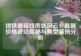 釹鐵硼磁鐵市場風云：最新價格波動揭秘與典型案例分析