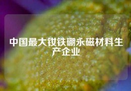 中國最大釹鐵硼永磁材料生產企業