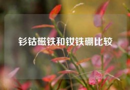 釤鈷磁鐵和釹鐵硼比較