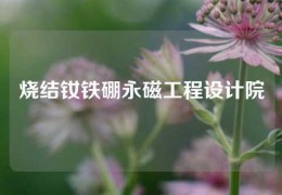 燒結釹鐵硼永磁工程設計院