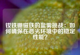 釹鐵硼磁鐵的鹽霧挑戰：如何確保在惡劣環境中的穩定性能？