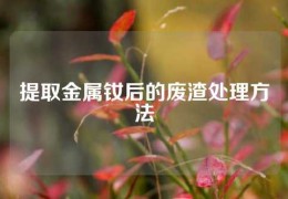 提取金屬釹后的廢渣處理方法