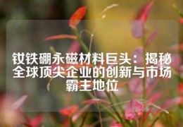 釹鐵硼永磁材料巨頭：揭秘全球頂尖企業的創新與市場霸主地位