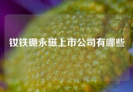 釹鐵硼永磁上市公司有哪些