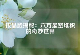 釹晶胞揭秘：六方最密堆積的奇妙世界