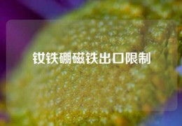 釹鐵硼磁鐵出口限制