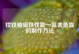 釹鐵硼磁鐵性能一覽表魚露的制作方法