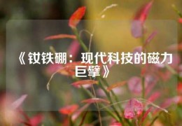 《釹鐵硼：現代科技的磁力巨擘》