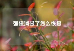 強(qiáng)磁消磁了怎么恢復(fù)